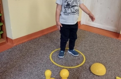 IMG20240925090311 